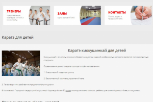 Каратэ киокушинкай для детей