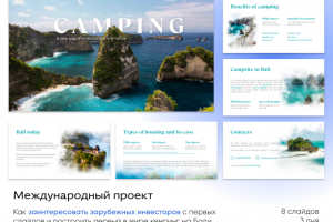 Международная презентация