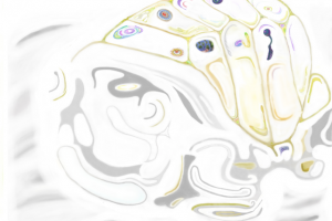 Работа 3753847