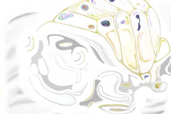 img3753847.png