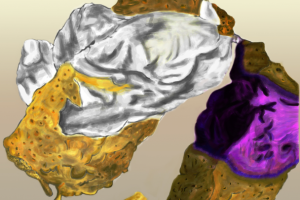 Крекер crispy cracker crunch  jam