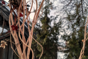 Работа 3754293