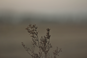 Работа 3754236