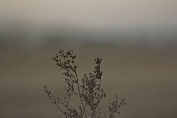 img3754236.png