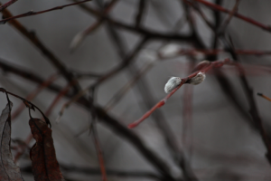 Работа 3753853