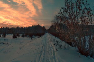 Работа 3762237