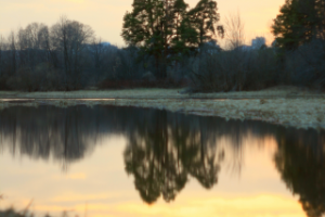 Работа 3754252