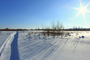 Работа 3753851