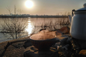 Работа 3754248