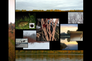 Работа 3753850