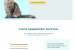 Ветеринарная клиника