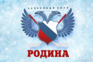 Ролик для хоккейного клуба "Родина"