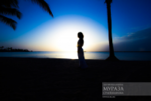 Работа 3034660