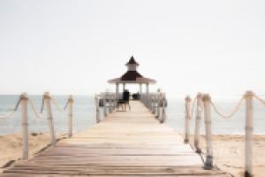 Работа 3034484