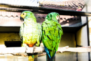 Работа 3034664