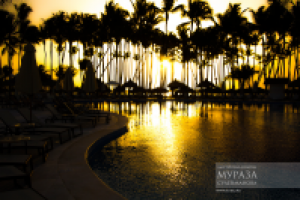 Работа 3034657