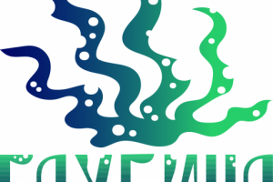 Разработка логотипа для подводных экспедиций