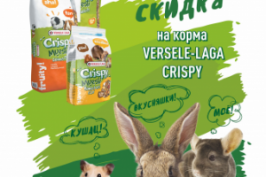 Рекламный модуль бренда "Versele Laga"