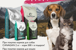 Рекламный модуль бренда "Canagan"