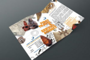 Работа 2852186