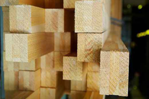 Выбор древесины для окон