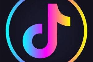 TikTok Downloader