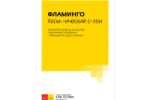 Дом.ru Бизнес. Облачная телефония. Фламинго