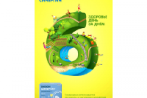 Антиоксидантный комплекс Синергин. Шесть элементов