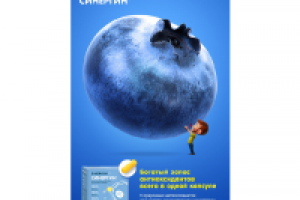 Антиоксидантный комплекс Синергин. Черника