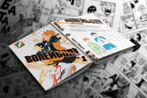 HAIKYU!! (ВОЛЕЙБОЛ!!) - Рубрендинг/Русификация манги/Вёрстка