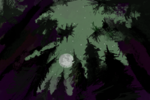 Тихая ночь в лесу