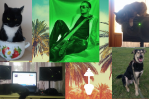 Звериный дом