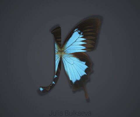 img3775946.png