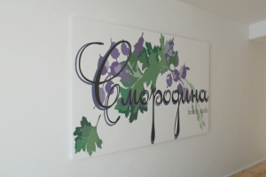 Работа 3817823