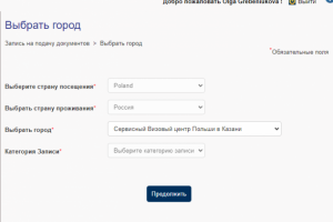 Авторегистратор записей на визу