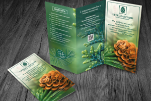 Рекламный лифлет