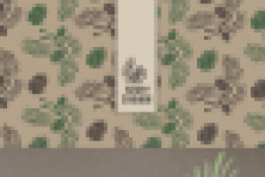 Фир.стиль для бренда натуральных продуктов из Сибири