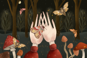 Иллюстрация