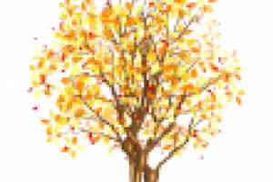 Осеннее дерево(вектор)