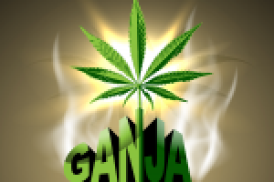 Ganja