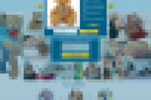 Medvesh.ru - продажа медведей (лендинг, верстка, настройка)