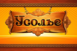 Разработка логотипа для сайта Усолье