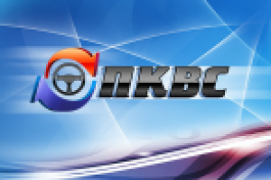 Разработка логотипа для сайта ПКВС