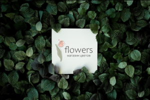 Логотип с иллбстрацией