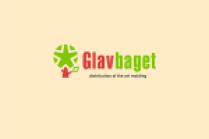 Glavbaget