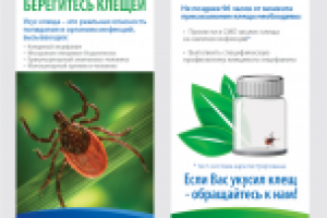 Листовка CMD