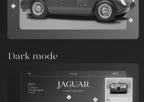 Jaguar Home Page concept