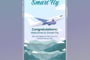 Smart Fly app