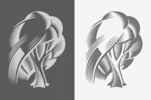 Логотип компании Iva Stone