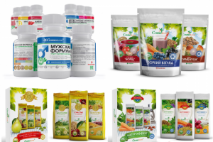 Дизайн этикеток и упаковок